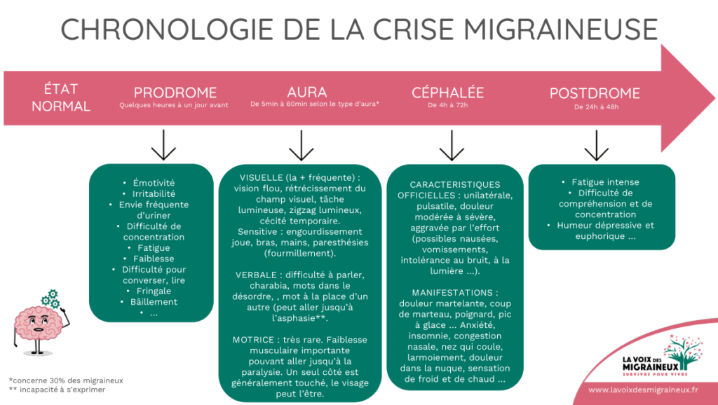 Documents imprimables 18 chronologie migraine