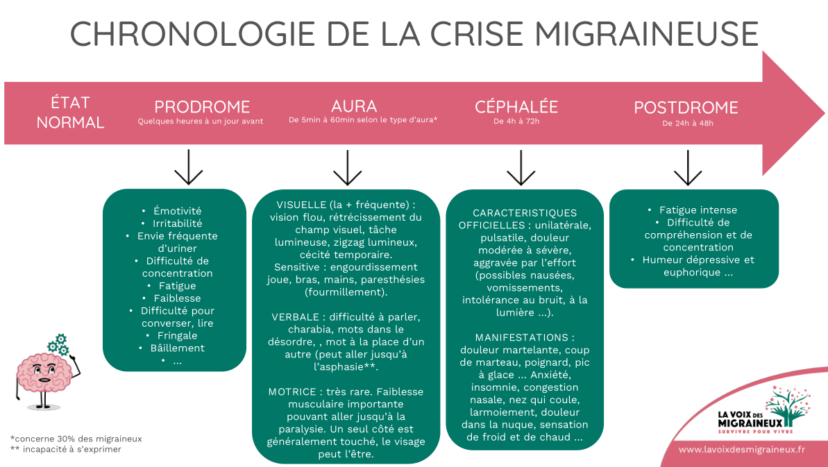 chronologie migraine